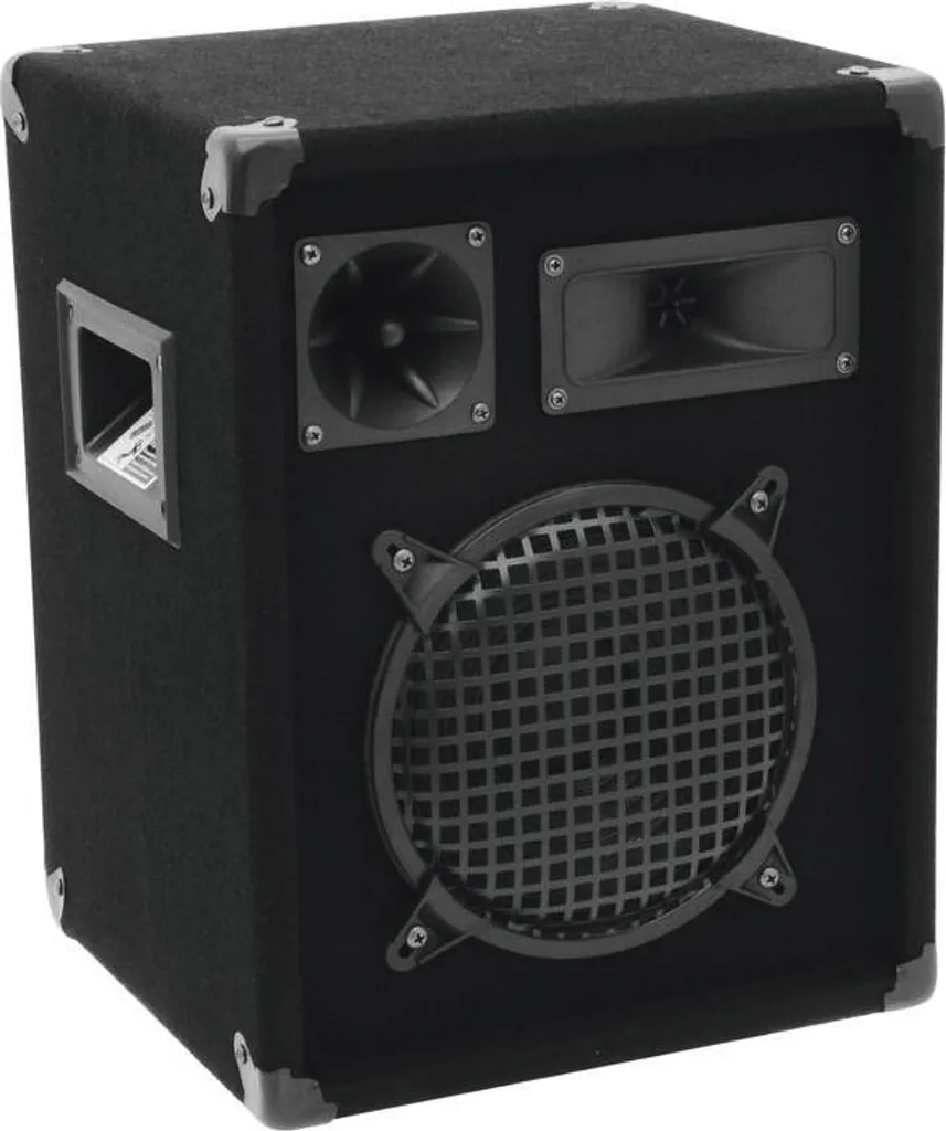 OMNITRONIC DX-822 Enceinte 3 Voies 300W - Son Puissant et Haute Fidélité