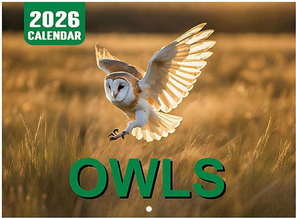 Wandkalender 2026, Januar 2026 – Dezember 2026, 12 Monatsplaner, Wandkalender zum Aufhängen mit lustigen Hunde-/Katzenbildern für Schule, Zuhau...