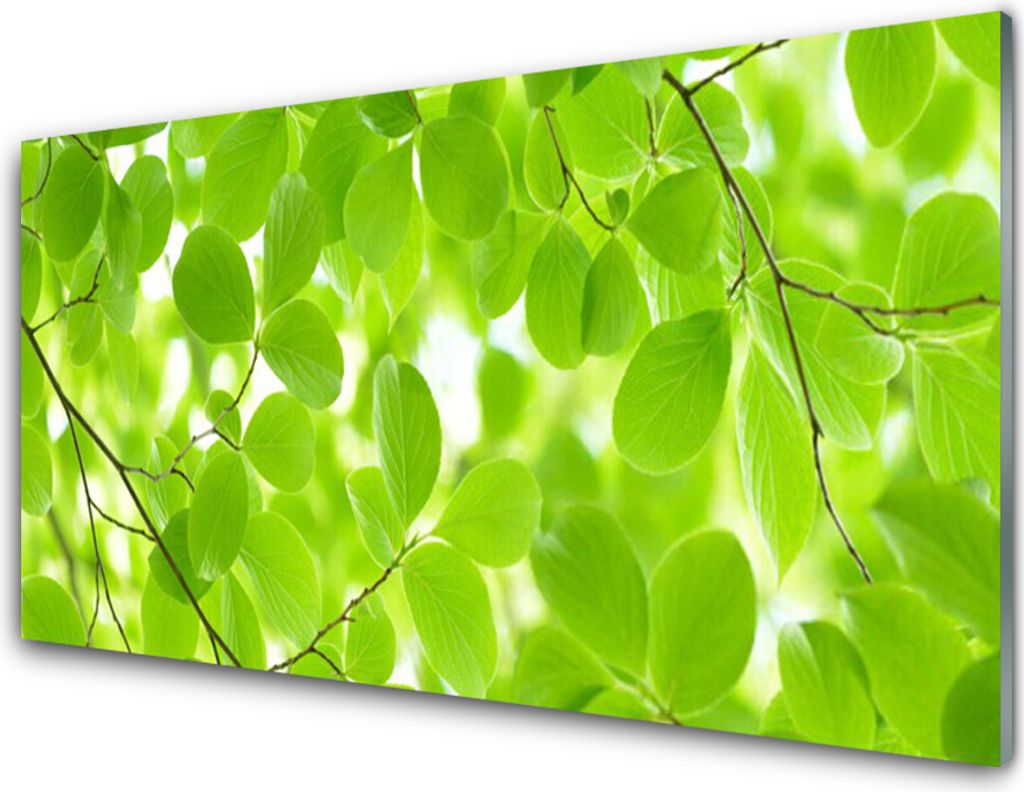 Küchenrückwand aus Glas 100x50cm Spritzschutz Blätter Natur