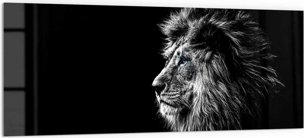 DEQORI Küchenrückwand Glas 125x50 cm 'König der Tiere im Profil' Spritzschutz Bad Rückwand
