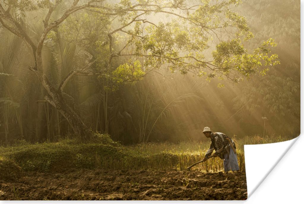 MuchoWow Poster Indonesischer Bauer bei der Arbeit im Sonnenlicht 90x60 cm - Schlafzimmer
