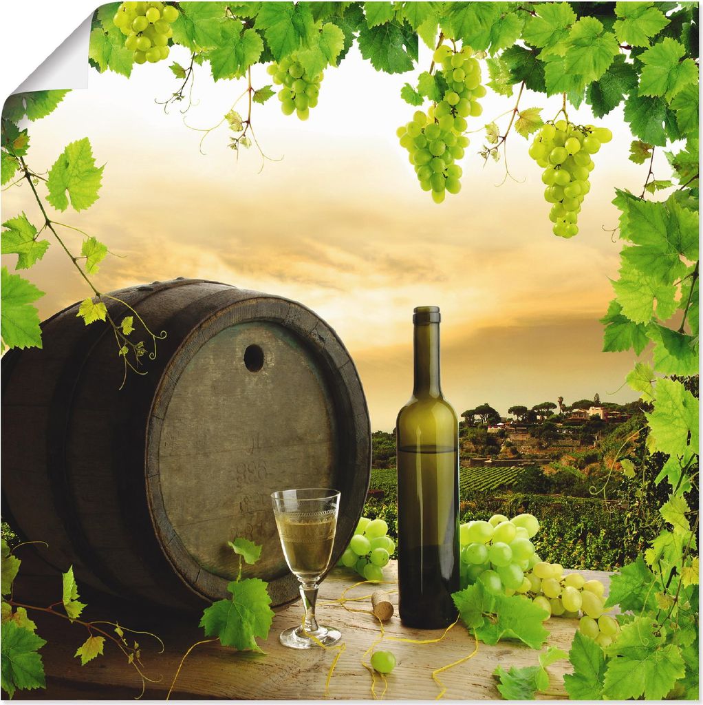 ARTland Poster Wein Trauben Reben Weinberg Größe: 50x50 cm