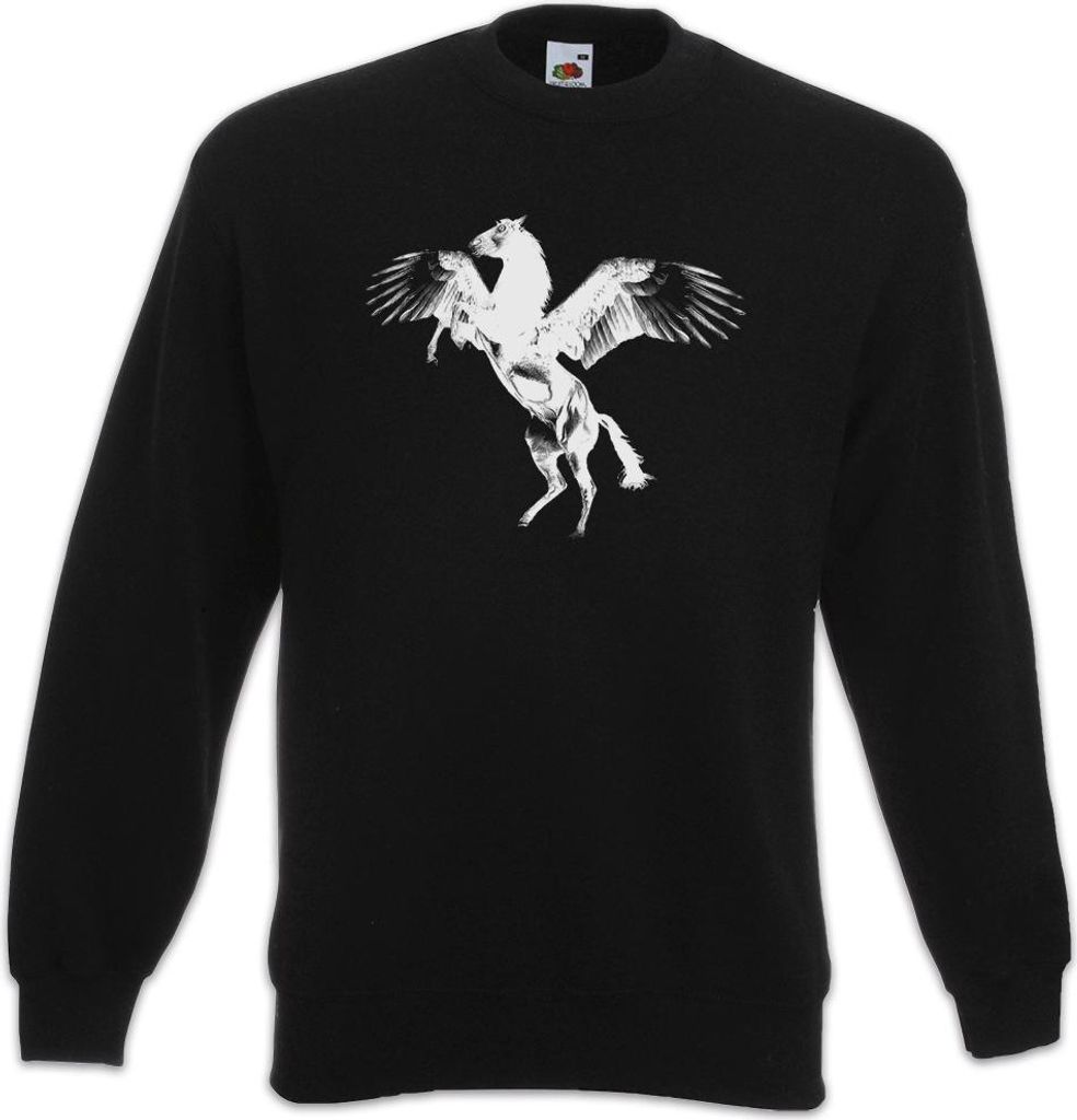 Urban Backwoods Pegasus II, Sweatshirt, Farbe: Schwarz, Größe: M