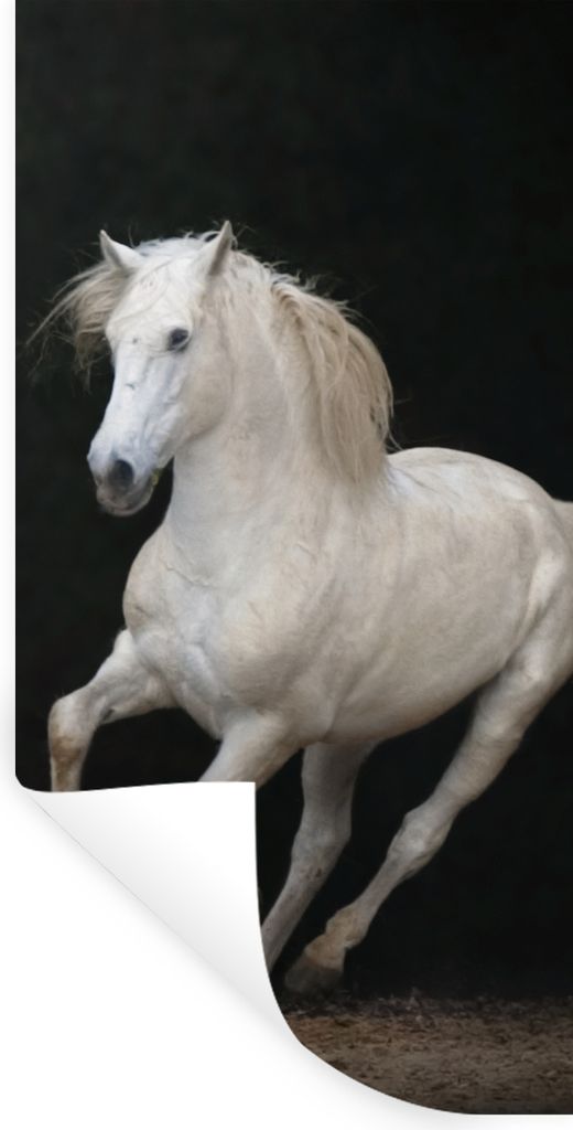 MuchoWow Wandtattoo Wandsticker Wandaufkleber Pferde - Schwarz - Porträt 20x40 cm Selbstklebend und Repositionierbar - Selbstklebend - Fototapeten