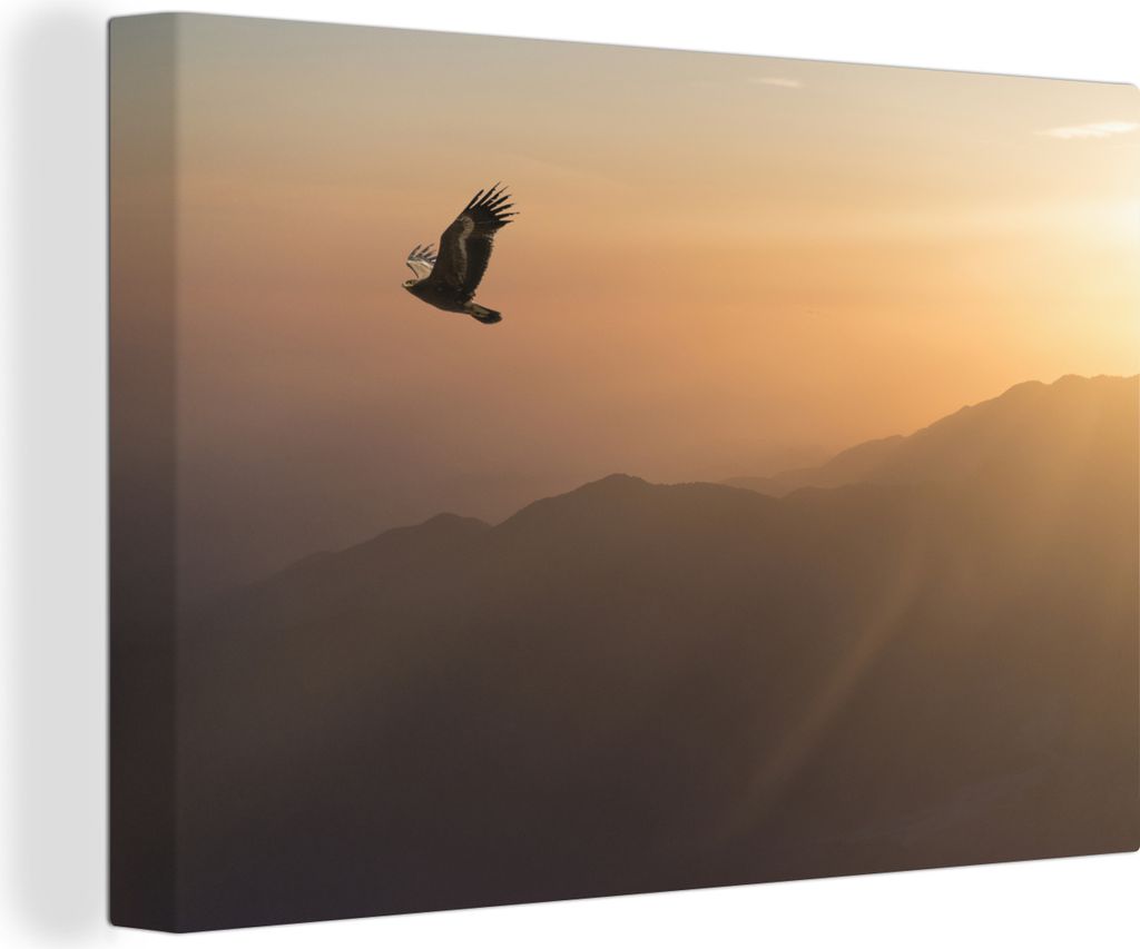 MuchoWow - Leinwandbilder - Weißkopfseeadler - Fliegen - Natur - Sonne - Licht - Vögel, Wandbild, Wanddeko Bilder Wohnzimmer, 60x40 cm