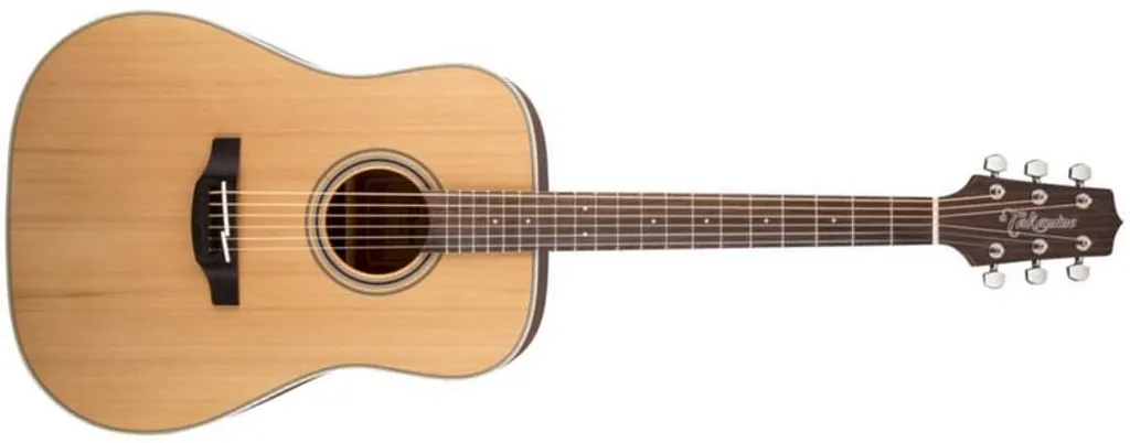 Guitare Takamine GD20-NS : Son Riche et Confort de Jeu sans Compromis