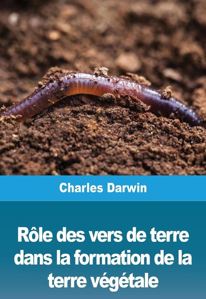 Rôle des vers de terre dans la formation de la terre végétale