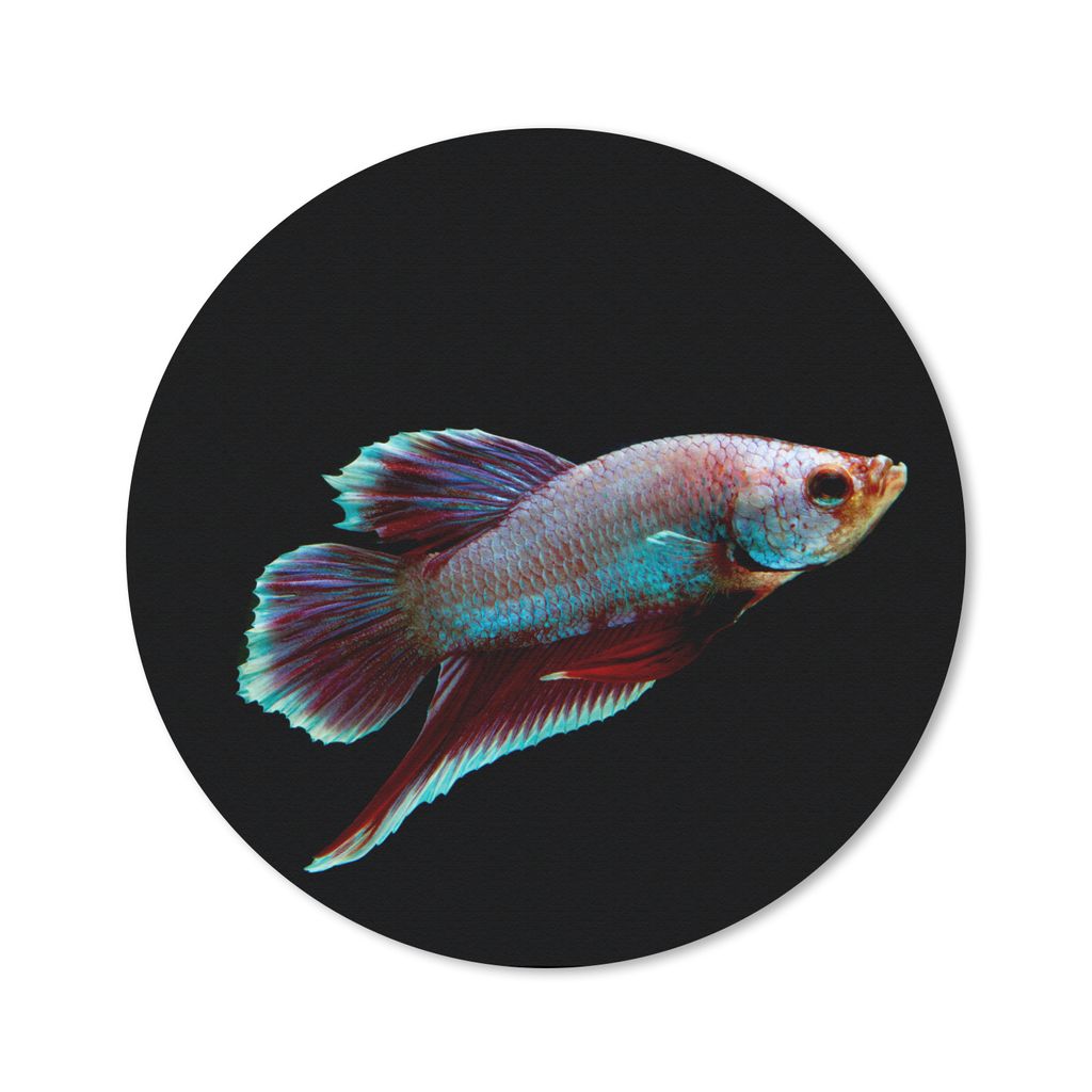 MuchoWow Mauspad Mousepad Fische - Tiere - Licht 30x30 cm - Mousepads - Maus Mat - Pad - Mausunterlage