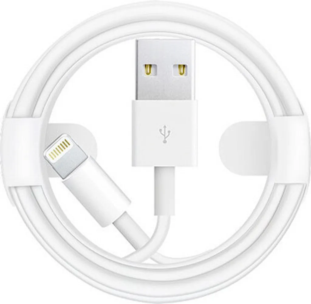 Cavo iPhone 1m USB Lightning Veloce per Modelli 5 5S 6 7 8 X SE