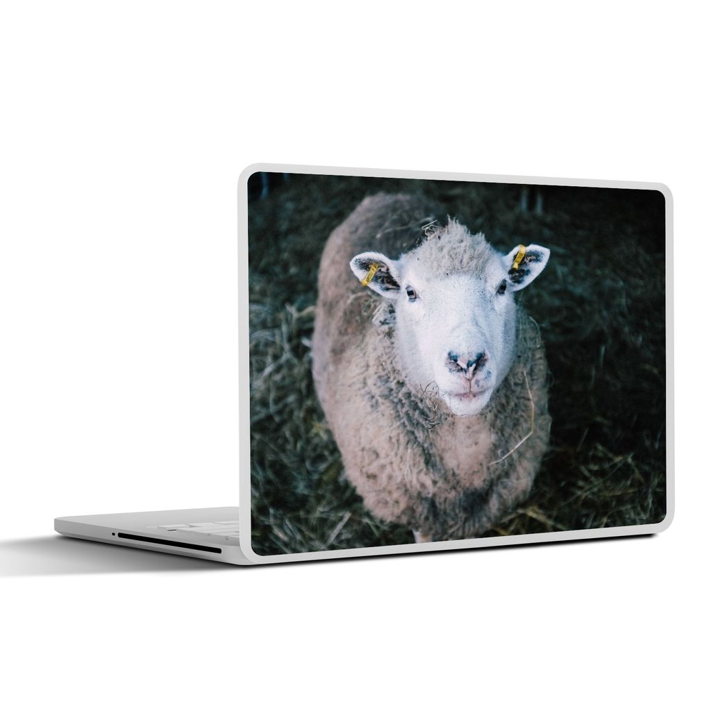 MuchoWow Laptop Aufkleber Sticker Cover Schafe - Tiere - Rinder 32.5x23.5 cm - Sticker für Laptop - Selbstklebend