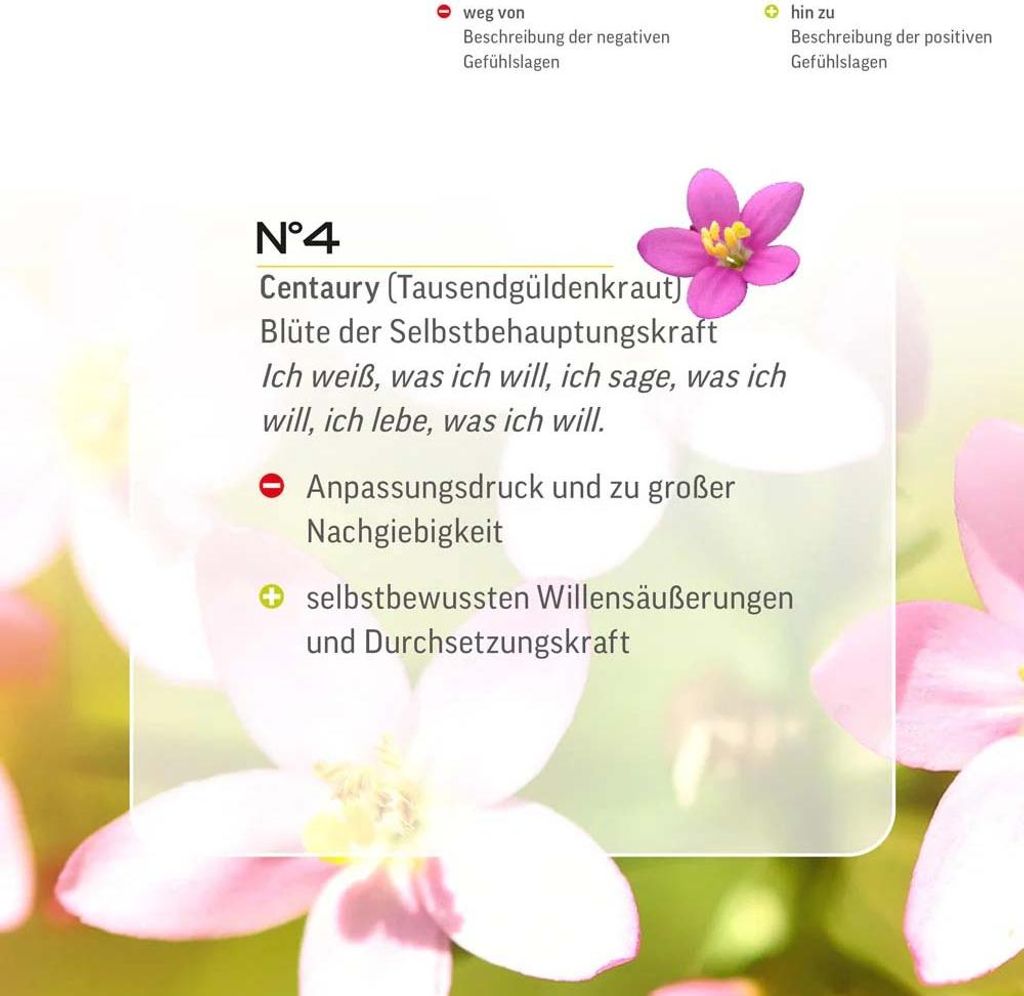 Bachblüten No.4 Centaury 20 ml