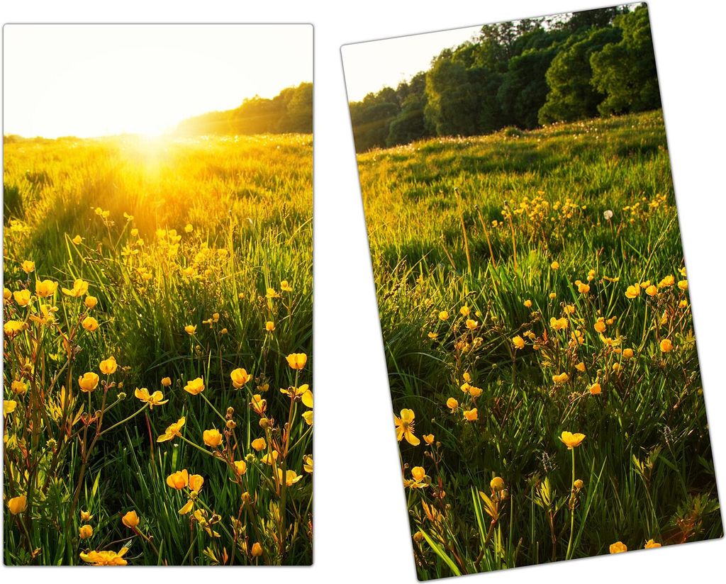 Spritzschutz Herdabdeckplatte Schneidebrett aus Glas Frühlingsblumen in Sonne 2-Teilig (60x52cm)