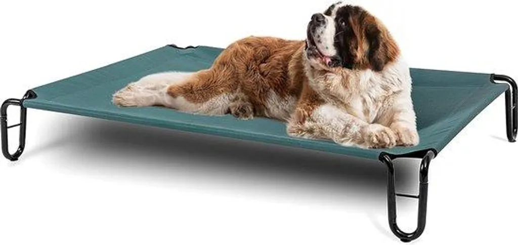 Lit surélevé pour chien vert 48x33x20 cm - Couchage respirant d'appoint