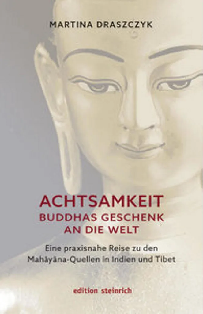 Pleine conscience cadeau de Bouddha guide pratique de 250 pages zen