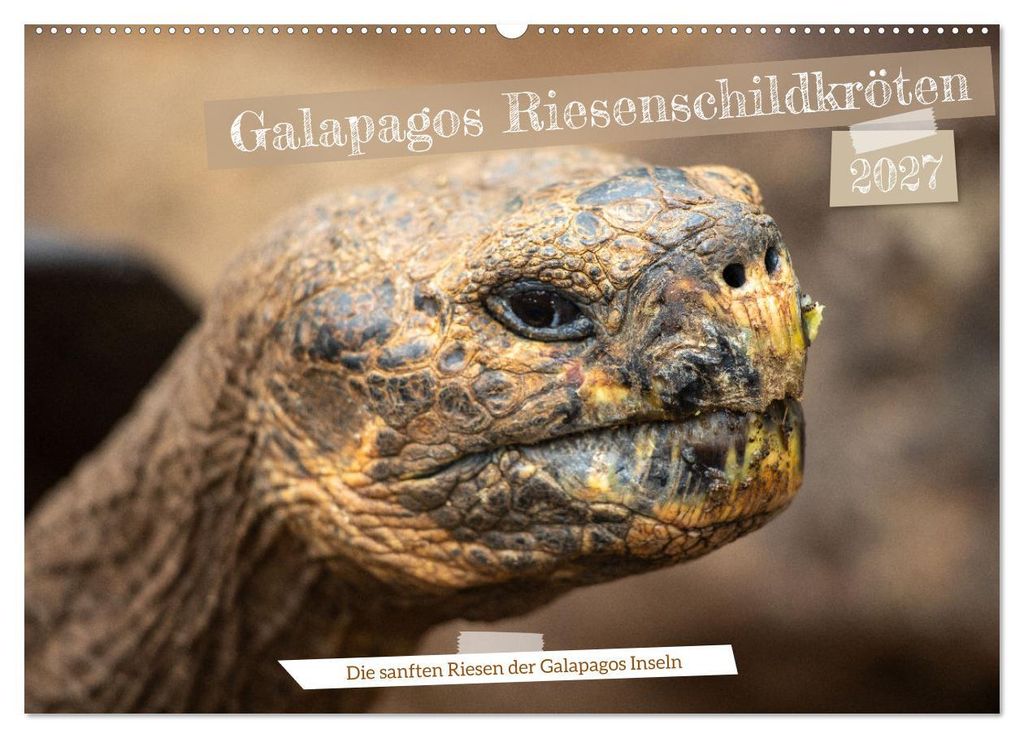 Die Riesenschildkröten der Galapagos Inseln (Wandkalender 2027 DIN A2 quer), CALVENDO Monatskalender