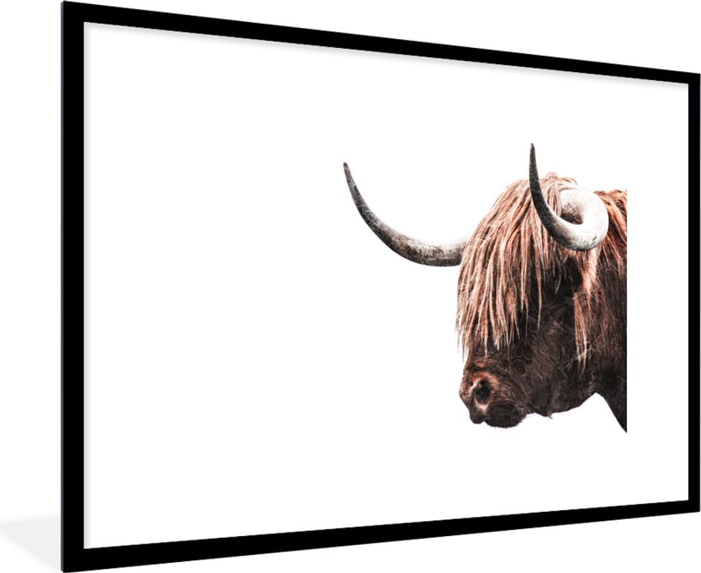 MuchoWow Gerahmtes Poster Schottische Highlander - Kühe - Hoorn 90x60 cm - Poster mit Schwarzem Bilderrahmen Wandposter Rahmen Foto Bilder - Wan...
