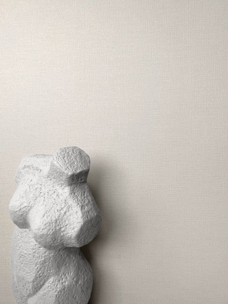 NEWROOM Tapete Beige Vliestapete Unifarbe - Edle Farben Uni Produktbild 