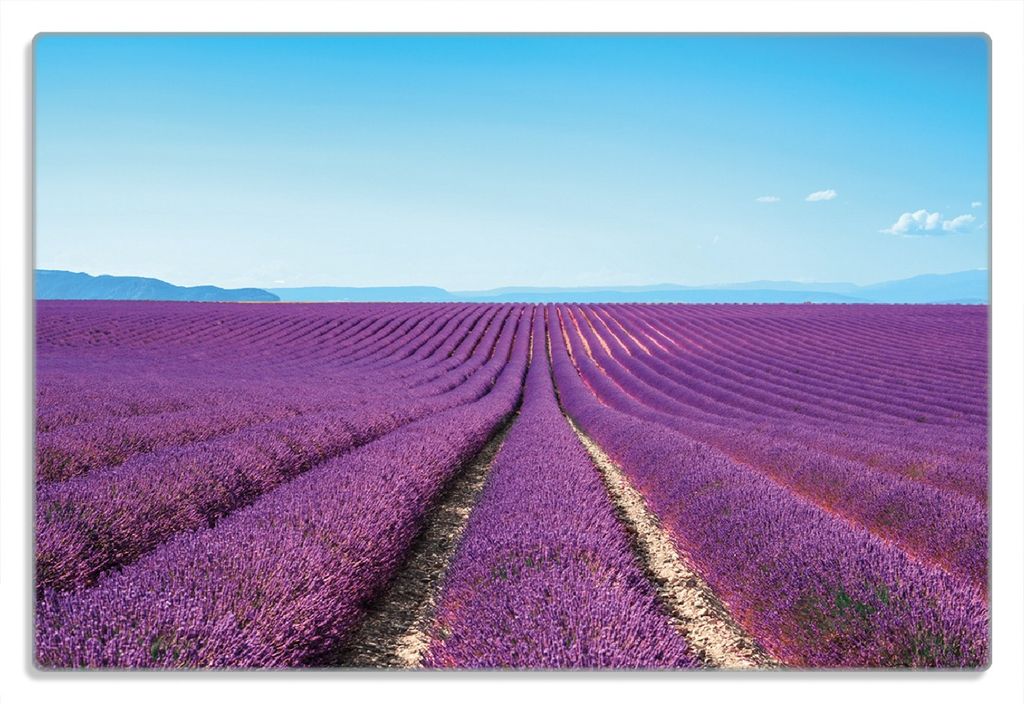 Wallario Frühstücksbrettchen aus Glas 20 x 30 cm mit rutschfesten Füßen, Motiv Lavendelfeld unter blauem Himmel