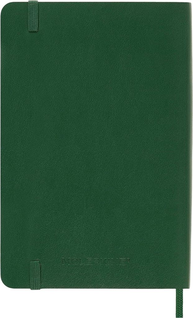 Moleskine - Planer "12M Daily L" PF3380 (Einheitsgröße) (Myrtengrün)