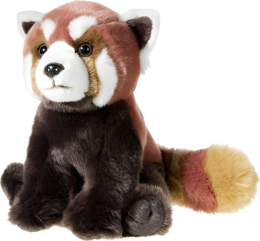 BEDROHTE TIERE Roter Panda sitzend