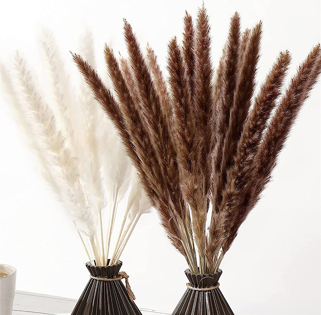 30Pcs getrocknetes Gras umweltfreundlich schöne getrocknete Blume künstliches getrocknetes Pampasgras für Zuhause ,Weiß