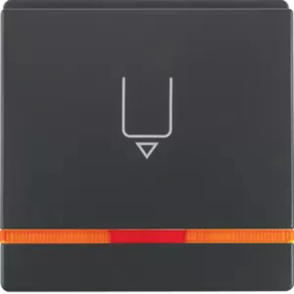 Module de Commutation Berker 16406086 Anthracite Design Q.1 Lumineux
