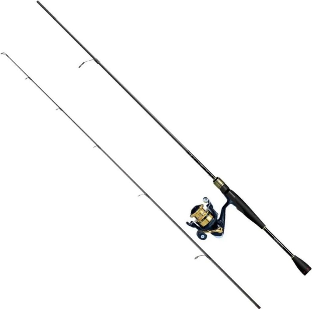 Daiwa Rs802hxhfsaf+rs4000 Spinn-kombo Golden 2.44 m / 14-56 Produktbild 
