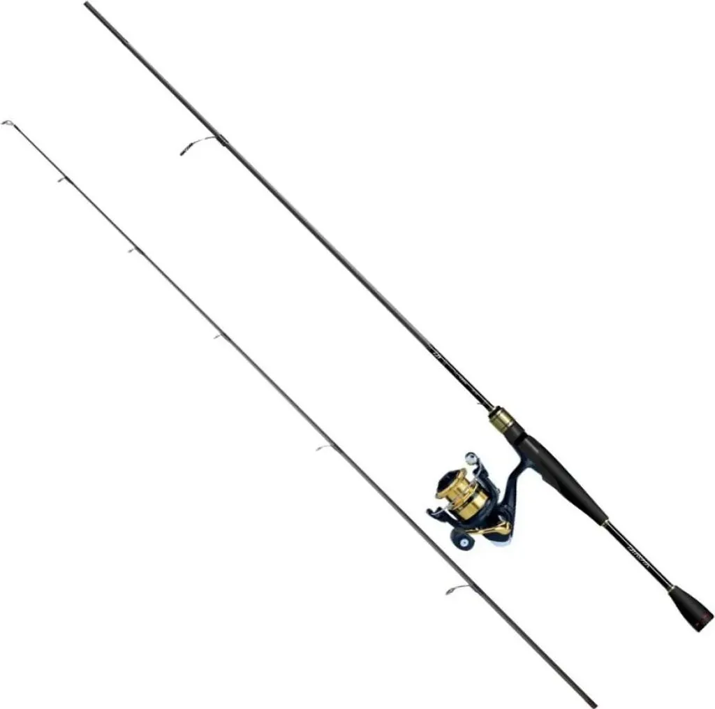 Équipement Complet Pêche au Brochet Daiwa 2.13 m RS702 avec Moulinet