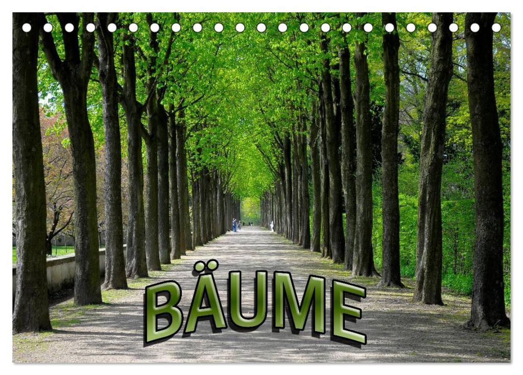 Bäume 2027 (Tischkalender 2027 DIN A5 quer), CALVENDO Monatskalender