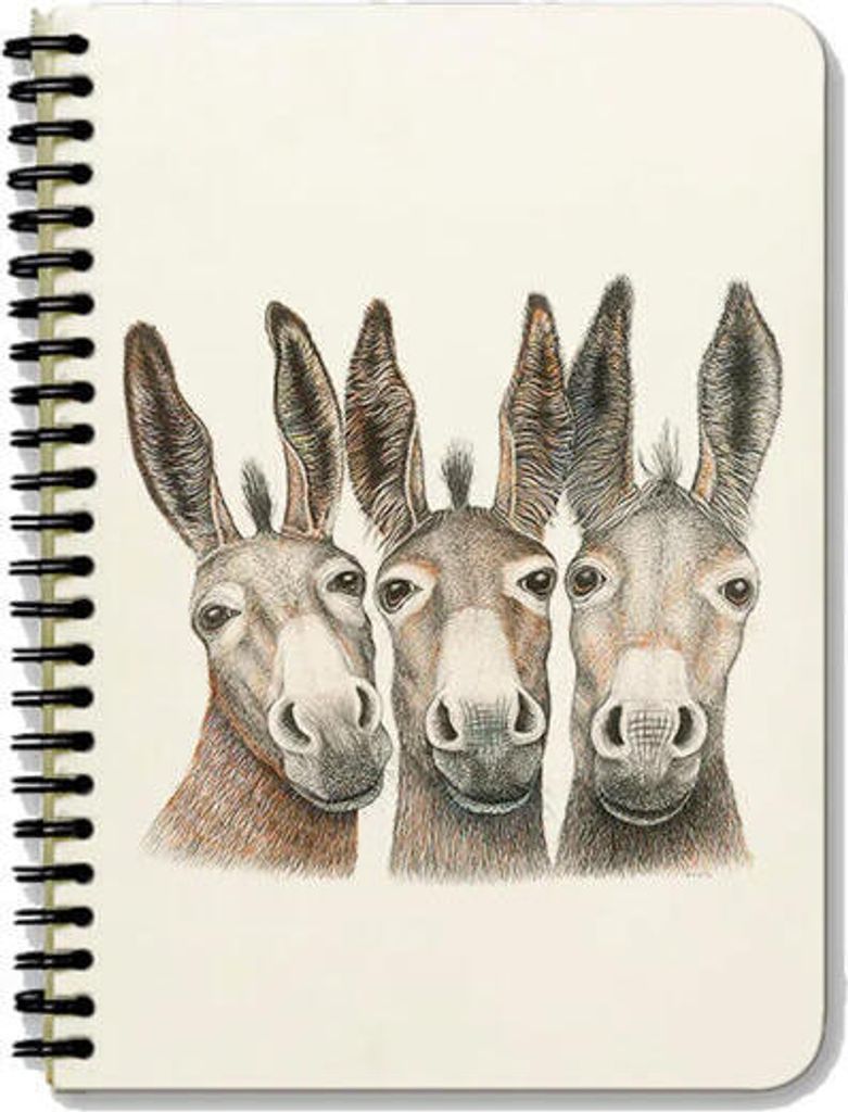 Charlotte Nicolin Notizblock A5 Amigos, Hardcover Spiral-Notebook, 50 linierte Seiten, 100 g Papier, SNPA59115