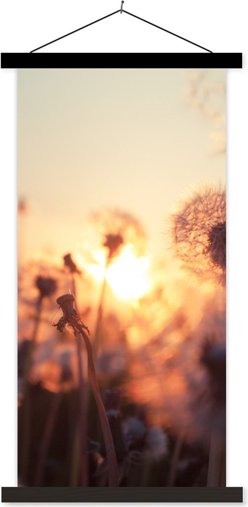 MuchoWow Textilposter Löwenzahn - Sonnenuntergang - Frühling 40x80 cm mit schwarzem Rahmen - Wandemalerei
