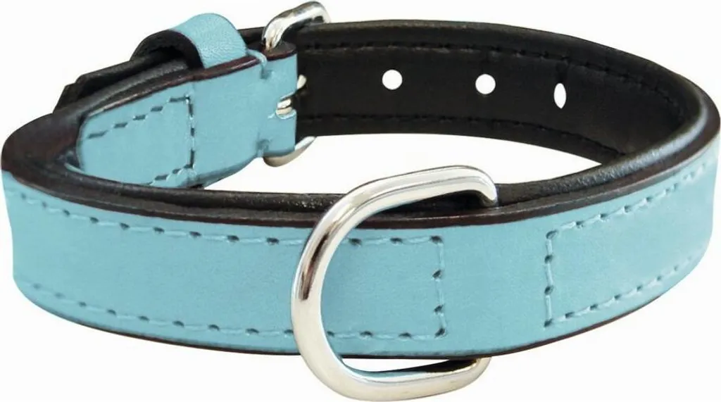 Gloria Collare Blu Imbottito 45x2cm | Accessorio Moda per Cani