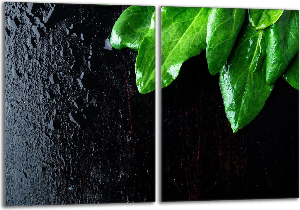Glasschutzplatte für den Herd 2x40x52 Basil