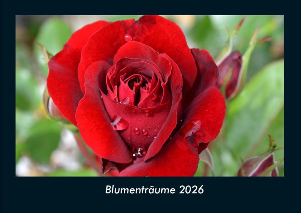 Blumenträume 2026 Fotokalender - Querformat DIN A4, Monatskalender mit Bild-Motiven aus Fauna und Flora, Natur, Blumen und Pflanzen