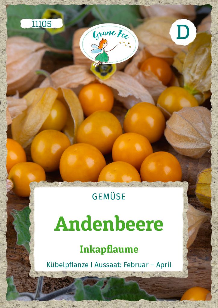 Grüne Fee - Andenbeere Inkapflaume Samen - 11105
