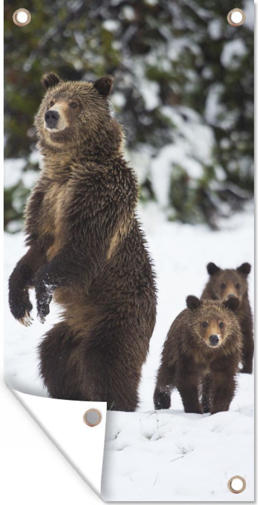 MuchoWow 30x60 cm Outdoor-Poster Gartendeko Sichtschutz Garten Poster für den Garten Stehender Grizzlybär