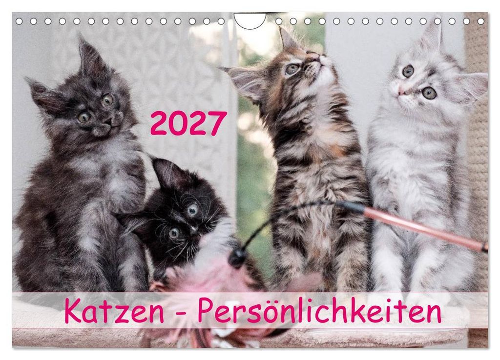 Katzen Persönlichkeiten 2027 (Wandkalender 2027 DIN A4 quer), CALVENDO Monatskalender