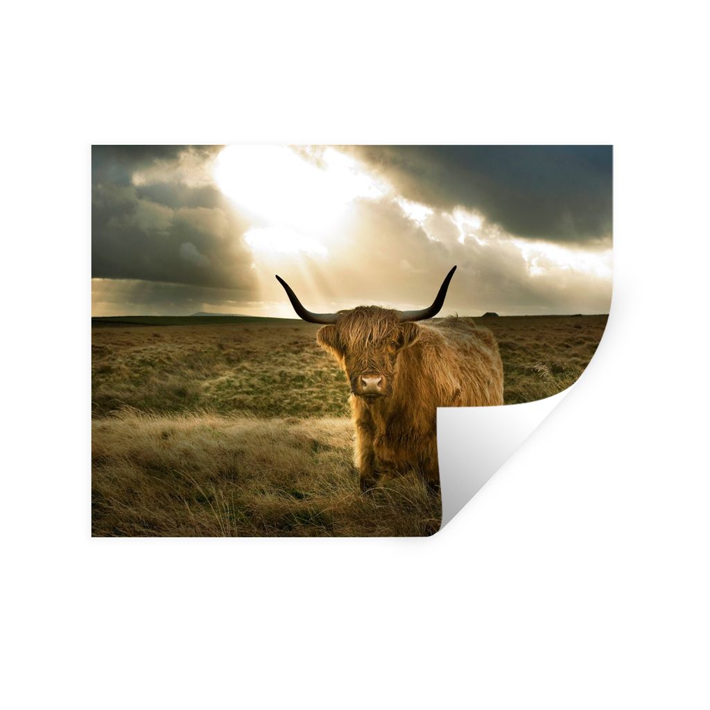 MuchoWow Wandtattoo Wandsticker Wandaufkleber Schottischer Hochländer - Sonne - Tiere 80x60 cm Selbstklebend und Repositionierbar - Faltenfrei