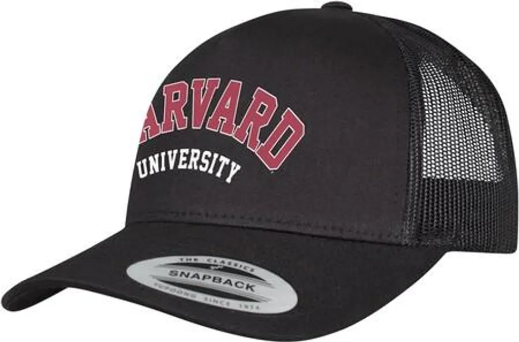 Casquette de type trucker noire Harvard University par Mr. Tee ajustable