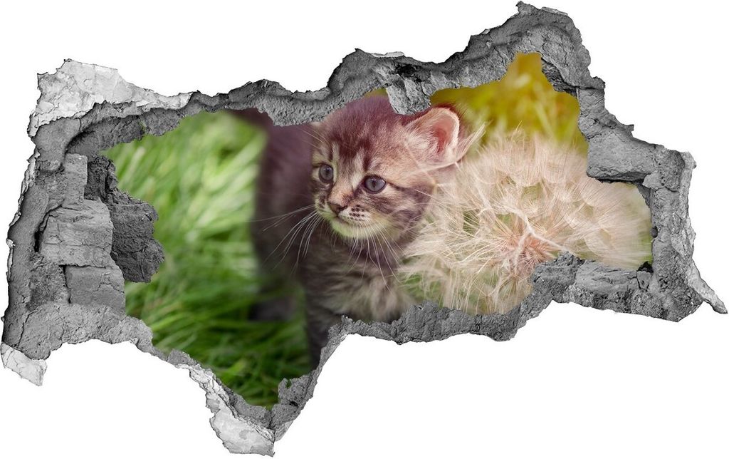 Selbstklebender Loch-3D-Aufkleber 95x73 cm Kitten mit Löwenzahn
