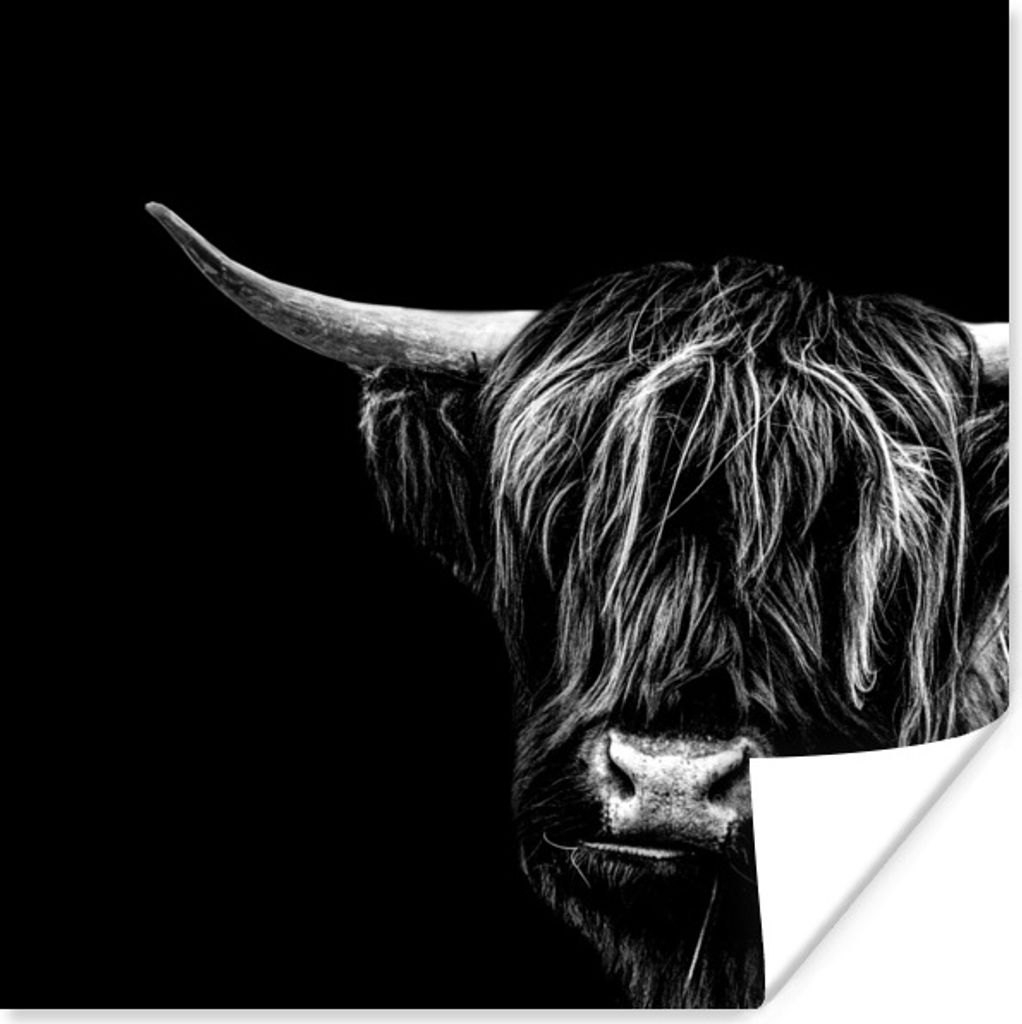 MuchoWow Poster Schottischer Highlander - Horn - Schwarz - Weiß 75x75 cm - Wand Dekoration