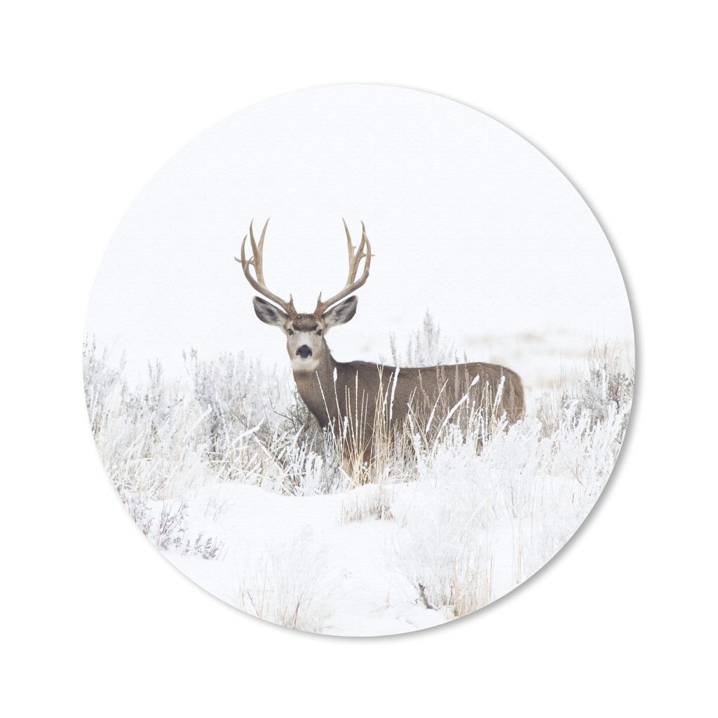 MuchoWow Mauspad Mousepad Hirsche - Winter - Schnee - Tiere - Jahreszeiten - Weiß 30x30 cm - Mousepads - Maus Mat - Pad - Mausunterlage - Tischu...