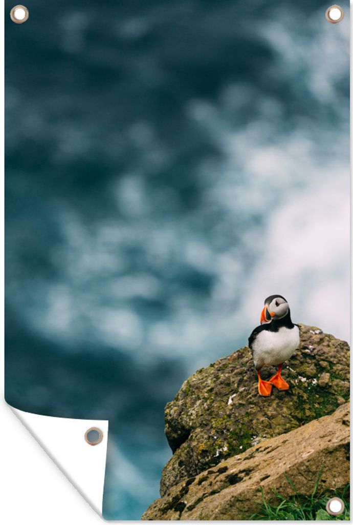 MuchoWow 80x120 cm Outdoor-Poster Gartendeko Sichtschutz Garten Poster für den Garten Papageientaucher am Rande einer Klippe