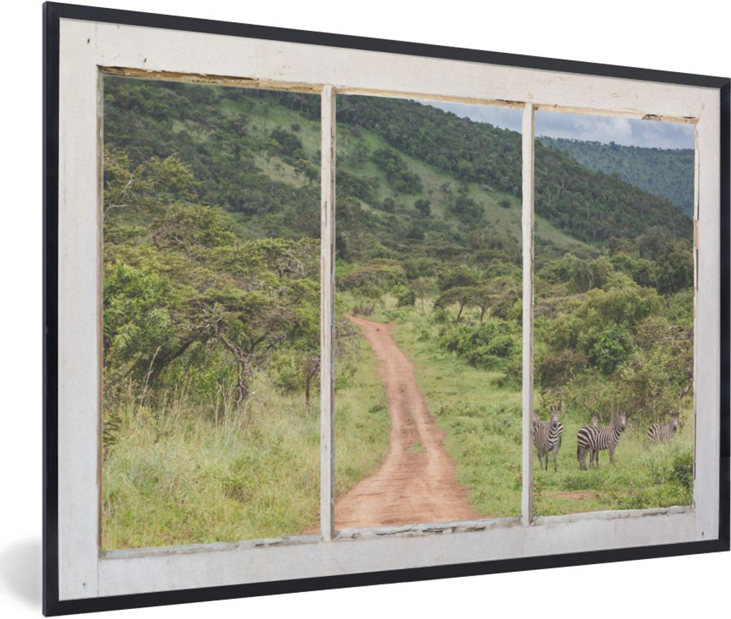 MuchoWow Gerahmtes Poster Durchsichtig - Zebra - Tiere 30x20 cm - Poster mit Schwarzem Bilderrahmen Wandposter Rahmen Foto Bilder - Kunstdruck - ...