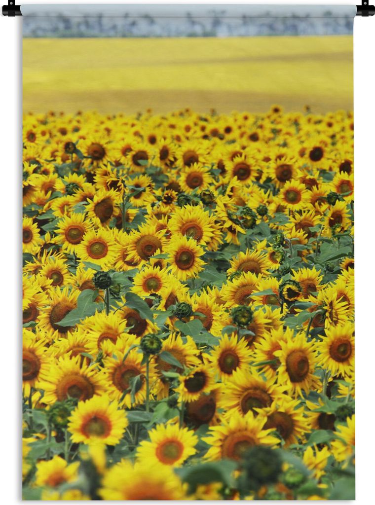 MuchoWow Wandteppich Wandbehang Sonnenblume - Blumen - Natur 120x180 cm Tapisserie Dekoration Wandtuch - Schlafzimmer - Dekorationen für das Haus