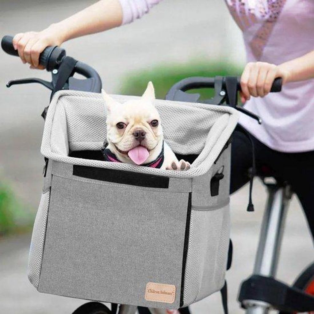 Hundekorb für Fahrrad, sicher und praktisch