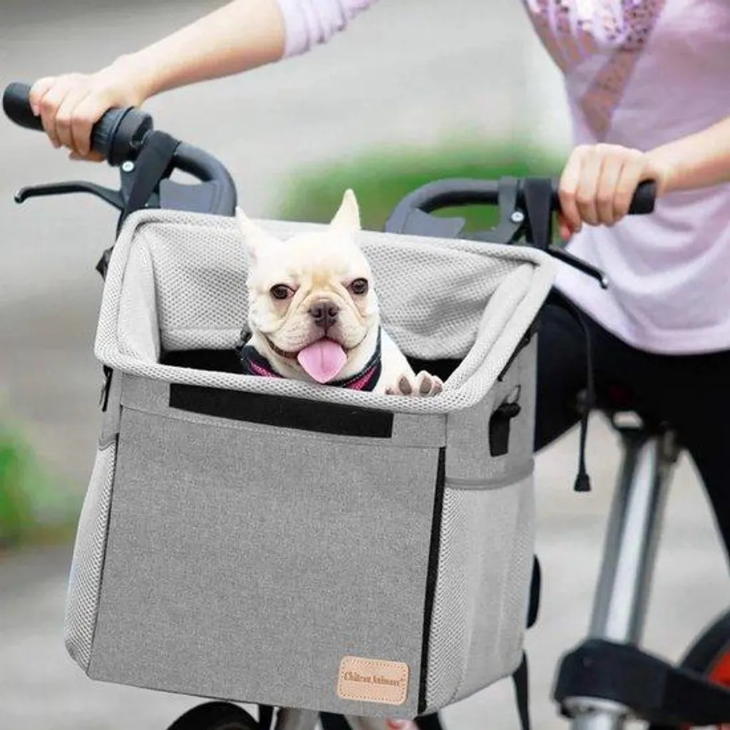 Panier de vélo pour petit chien idéal pour balades et randonnées été