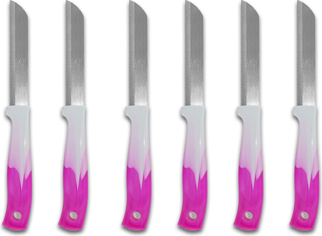 Solingen Obstmesser 24er Set Schälmesser, Tafelbesteck Messerset, Alltagsmesser, Gemüsemesser, Allzweckmesser Edelstahl, Messer rostfrei, Küchen...