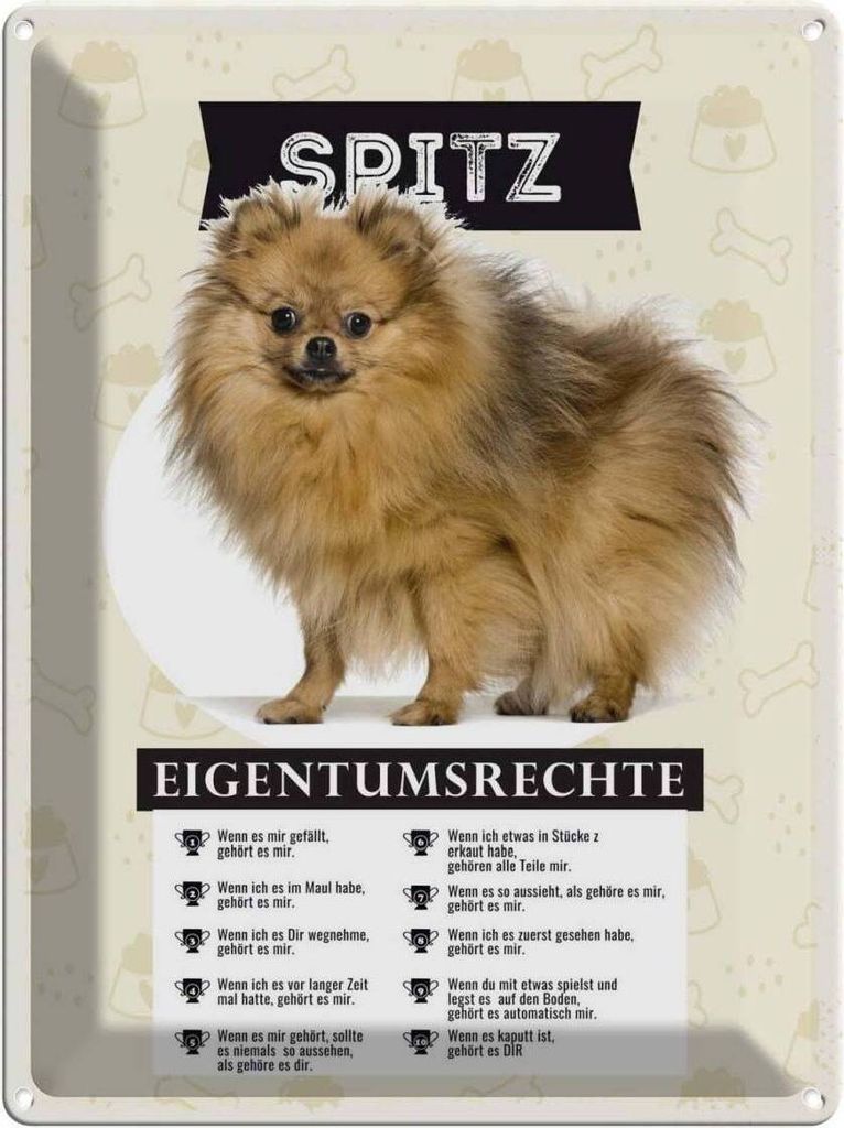 vianmo Blechschild 40x30 cm Spitz Eigentumsrechte Tier Haustier Hund