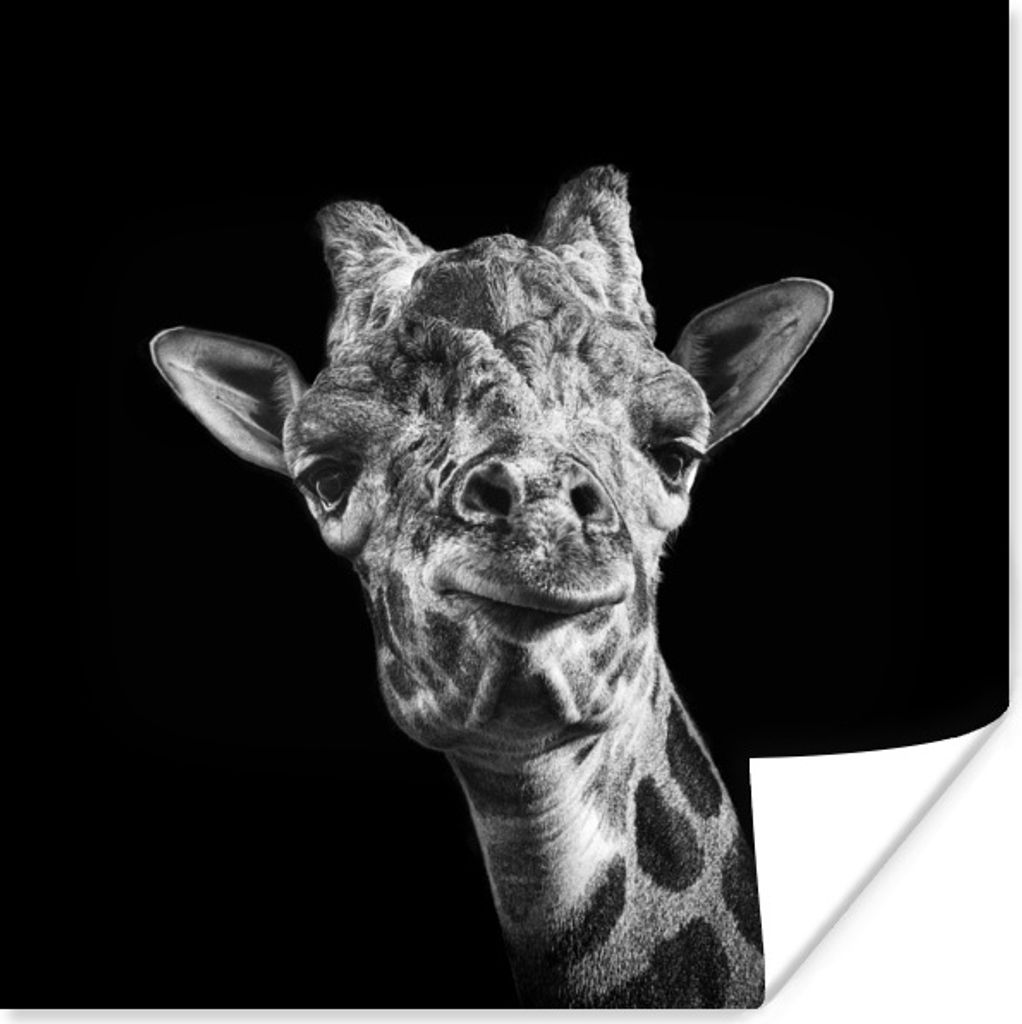 MuchoWow Poster Giraffe - Tier - Schwarz - Weiß 75x75 cm - Wand Dekoration